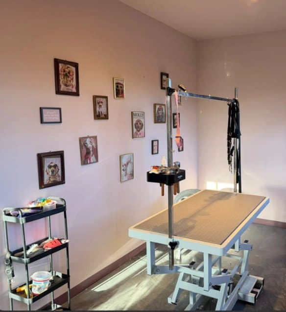 Trimruimte van een hondentrimsalon met trimtafel en ingelijste hondenportretten aan een roze muur